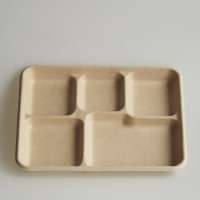 5 compartment biodegradable pulp food tray